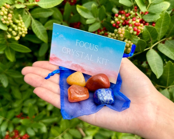 Focus Crystal Kit, 4 pcs In Organza Pouch - Most Popular Tumbled Crystal Gift Kits (Chakra Protection Healing Sets)