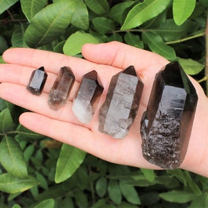 Smoky Quartz Points: &#39;A&#39; Grade Smoky Quartz Crystal Point - Choose Size (Premium Quality Smokey Quartz Points, Healing Crystals)