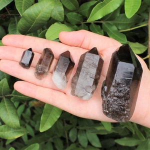 Smoky Quartz Points: 'AAA' Grade Smoky Quartz Crystal Point - Choose Size (Premium Quality)