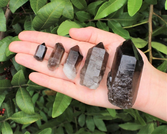 Smoky Quartz Points: 'A' Grade Smoky Quartz Crystal Point - Choose Size (Premium Quality Smokey Quartz Points, Healing Crystals)