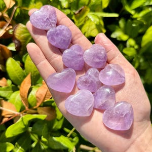 May include: A hand holds several heart-shaped amethyst stones. The stones vary in shades of purple and are smooth and polished. The background features green leaves and sunlight.