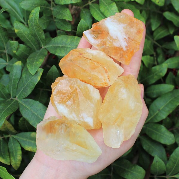 LARGE Rough Citrine Chunks, 2" - 3": Choose How Many Pieces ('A' Grade Premium Quality Raw Citrine Crystals)