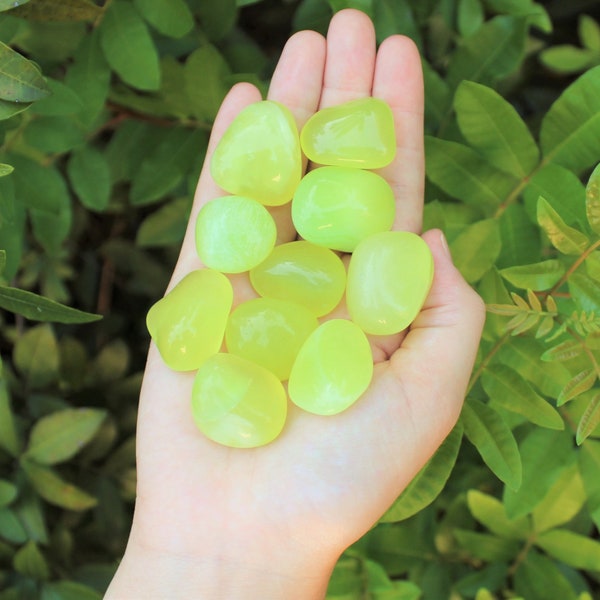 Parrot Green Onyx Tumbled Stones: Choose How Many Pieces (Premium Quality 'A' Grade)