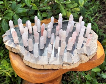Könnte beinhalten: Eine Sammlung von etwa 40 kleinen, rosa, klaren Quarzkristallspitzen, die auf einer Holzscheibe angeordnet sind. Die Spitzen sind alle etwa gleich groß und geformt und in einem zufälligen Muster angeordnet.