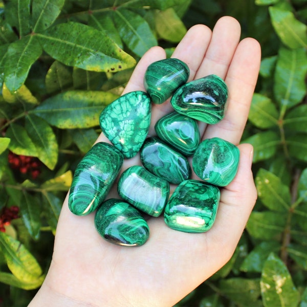 Malachite Tumbled Stones, Medium 0.75" - 1.25" +/-: Choose How Many Pieces (Premium Quality 'A' Grade)