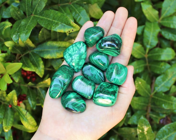 Malachite Tumbled Stones, Medium 0.75" - 1.25" +/-: Choose How Many Pieces (Premium Quality 'A' Grade)