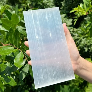 May include: A large, white selenite slab with a smooth, polished surface and visible striations. The slab is held in a hand against a backdrop of green foliage.