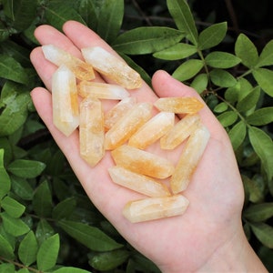 May include: A collection of small, pointed, yellow citrine crystals. The crystals are arranged in a hand, with the points facing upwards.