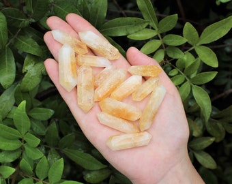Könnte beinhalten: Eine Sammlung kleiner, spitzer, gelber Citrin-Kristalle. Die Kristalle sind in einer Hand angeordnet, mit den Spitzen nach oben.
