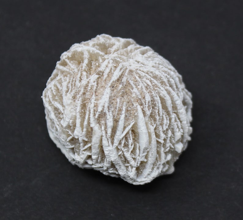 Puede incluir: Una rosa del desierto blanca, formada naturalmente, un tipo de cristal de selenita, con una estructura delicada con forma de flor.