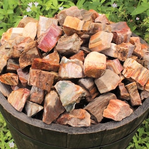 May include: A large bowl filled with a variety of colorful petrified wood pieces. The wood is a mix of brown, red, and white, and the pieces are all different shapes and sizes.