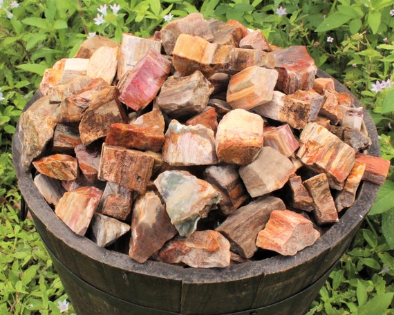 Petrified Wood Rough Natural Stones: Choose Ounces or lb Bulk Wholesale Lots (Premium Quality 'A' Grade Petrified Wood Crystals)