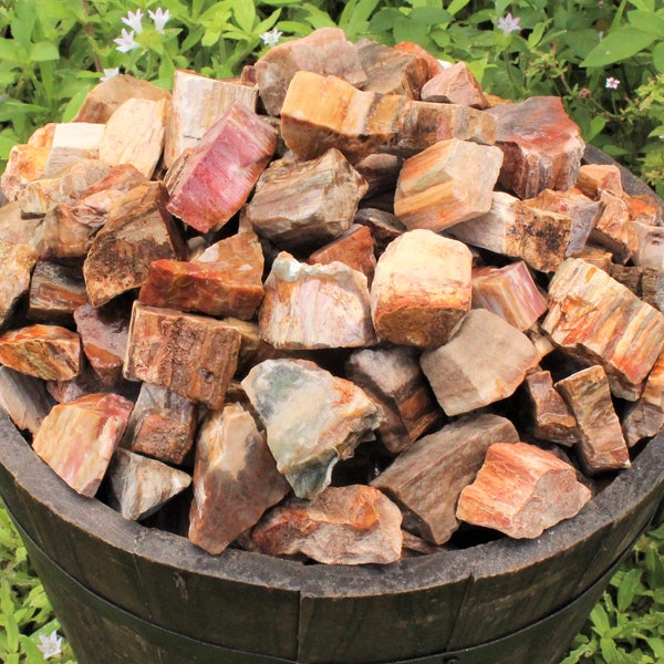 Petrified Wood Rough Natural Stones: Choose Ounces or lb Bulk Wholesale Lots (Premium Quality 'A' Grade Petrified Wood Crystals)