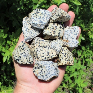 Dalmation Jasper Rough Natural Stones: Choose Ounces or lb Bulk Wholesale Lots Premium Quality 'A' Grade image 2