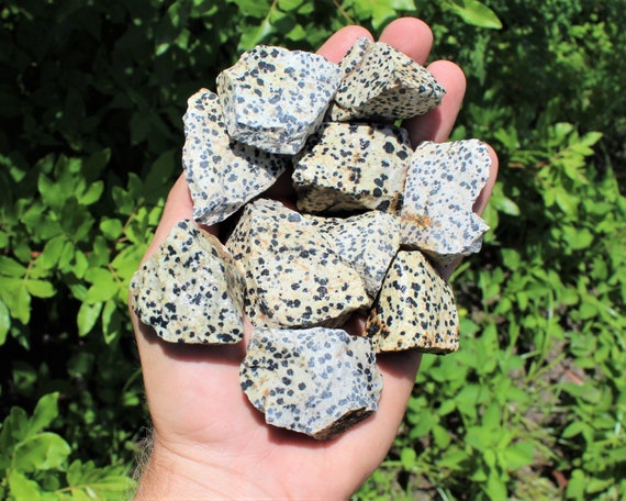 Dalmation Jasper Rough Natural Stones: Choose How Many Pieces (Premium Quality 'A' Grade)