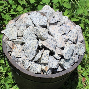 Dalmation Jasper Rough Natural Stones: Choose Ounces or lb Bulk Wholesale Lots Premium Quality 'A' Grade image 9