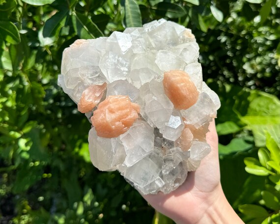 Apophyllite & Stilbite Crystal Cluster - EXACT SPECIMEN Shown ('AAA' Grade Natural Apophyllite Cluster with Inclusions, AP10)