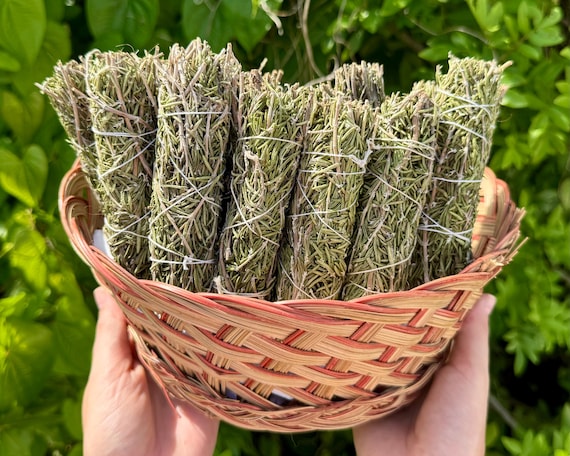 Rosemary Sage Smudge 4" Sticks - Choose How Many, Wholesale Lots (Fresh Premium Quality Sage Bundles For Purifying, Cleansing & Blessing)