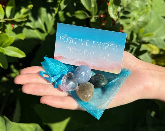 Positive Energy Crystal Kit, 4 pcs In Organza Pouch - Most Popular Tumbled Crystal Gift Kits (Chakra Protection Healing Sets)