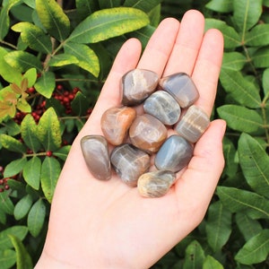 Black Moonstone Tumbled Stones