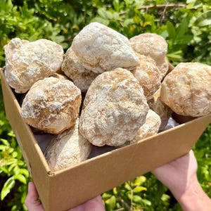 CRAZY CHEAP Box of Break Your Own Geodes - 20 lbs of JUMBO Unopened Moroccan Crystal Calcite Geodes (Stunning Crystal Treasures Inside)