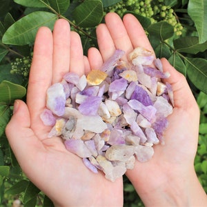 May include: A handful of amethyst chips, a mix of light purple and clear crystals, with a few yellow-brown pieces.