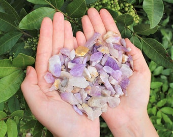 May include: A handful of amethyst chips, a mix of light purple and clear crystals, with a few yellow-brown pieces.