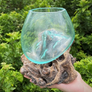 LARGE Molten Glass Bowl With Gamal Wood Root Base - Blown Glass Wood Terrarium (Handmade Unique Glass Bowl / Terrarium From Indonesia)