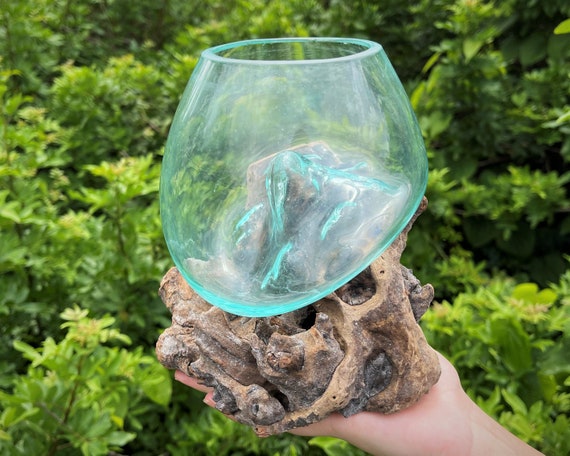 LARGE Molten Glass Bowl With Gamal Wood Root Base - Blown Glass Wood Terrarium (Handmade Unique Glass Bowl / Terrarium From Indonesia)