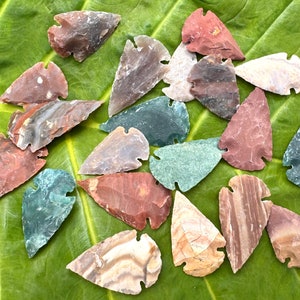 May include: A collection of various colored stone arrowheads, including shades of red, brown, gray, and green. The arrowheads are arranged on a large, green leaf, showcasing their different textures and patterns. These ancient artifacts are likely for display or collection.