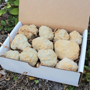 Break Your Own Geodes Gift Box: 8 - 12 Pieces ('A' Grade, Unopened Moroccan Crystal Quartz Geodes, Crystal Geode, Wholesale Geodes)