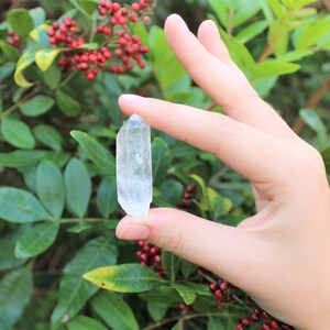 May include: A clear, elongated crystal with a pointed tip, held against a backdrop of green leaves and red berries. The crystal is translucent, reflecting light and showcasing its natural, textured surface. The crystal is approximately 2 inches in length.