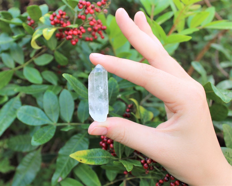 May include: A clear, elongated crystal with a pointed tip, held against a backdrop of green leaves and red berries. The crystal is translucent, reflecting light and showcasing its natural, textured surface. The crystal is approximately 2 inches in length.