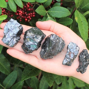 May include: A collection of six dark, metallic-looking stones with a reflective surface. The stones vary in size and shape, with a mix of jagged and smooth edges. The stones are held in an open hand against a backdrop of green foliage.
