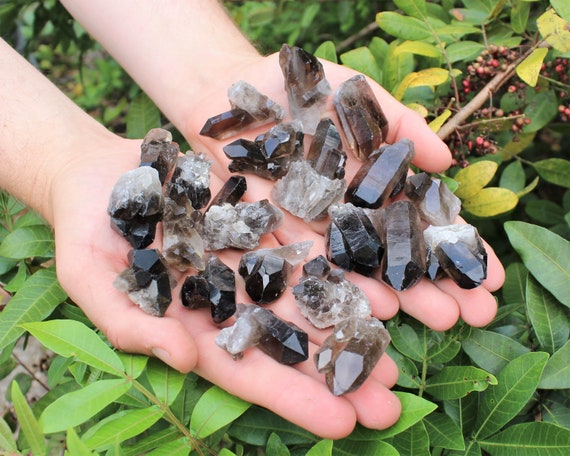 Mini Smoky Quartz Crystal Clusters, Points, and Pieces: Choose Ounces or lbs ('A' Grade, Smokey Quartz Cluster, Smoky Quartz Geode)