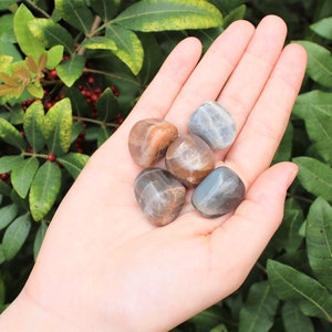 Black Moonstone Tumbled Stones: Choose How Many Pieces Premium Quality 'A' Grade 5