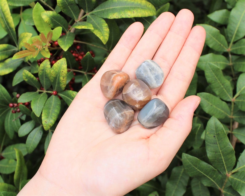 Black Moonstone Tumbled Stones: Choose How Many Pieces Premium Quality 'A' Grade 5