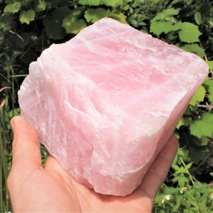 HUGE Rose Quartz Raw Natural Crystal, 1 - 2 lb Specimen (Premium Quality 'A' Grade, Home Decor, Jumbo Love Stone)