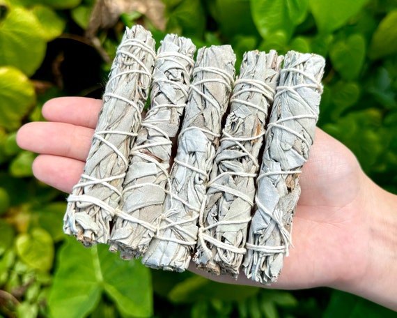 White Sage Smudge Sticks (Thin) - Choose How Many (Mini White Sage Sticks, Travel Size Bundles, Cleansing, Purifying & Blessing)