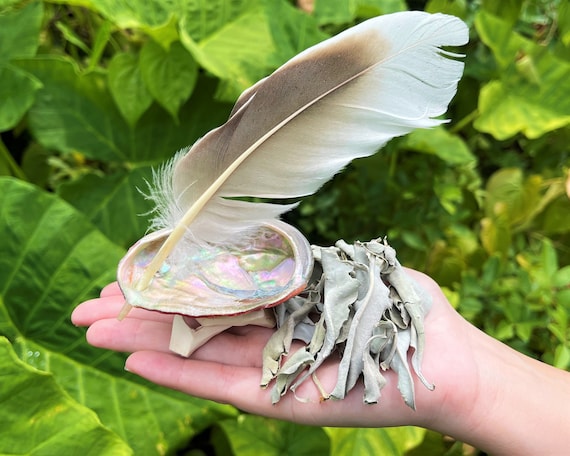 Mini White Sage Abalone Kit - Abalone Shell, White Sage Loose Leaves, Tripod Stand, Smudging Feather and Directions (House Cleansing)