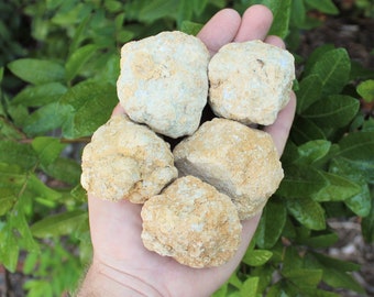 Break Your Own Geodes, 1.5 - 3" Unopened Moroccan Crystal Quartz Geodes - Choose How Many