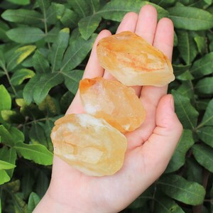 LARGE Rough Citrine Chunks, 2 3: Choose How Many Pieces 'A' Grade Premium Quality Raw Citrine Crystals 3