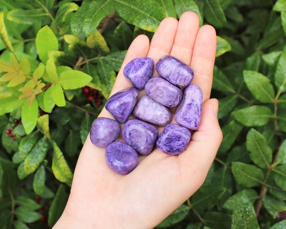 Charoite Tumbled Stones: Choose How Many Pieces (Premium Quality 'A' Grade)