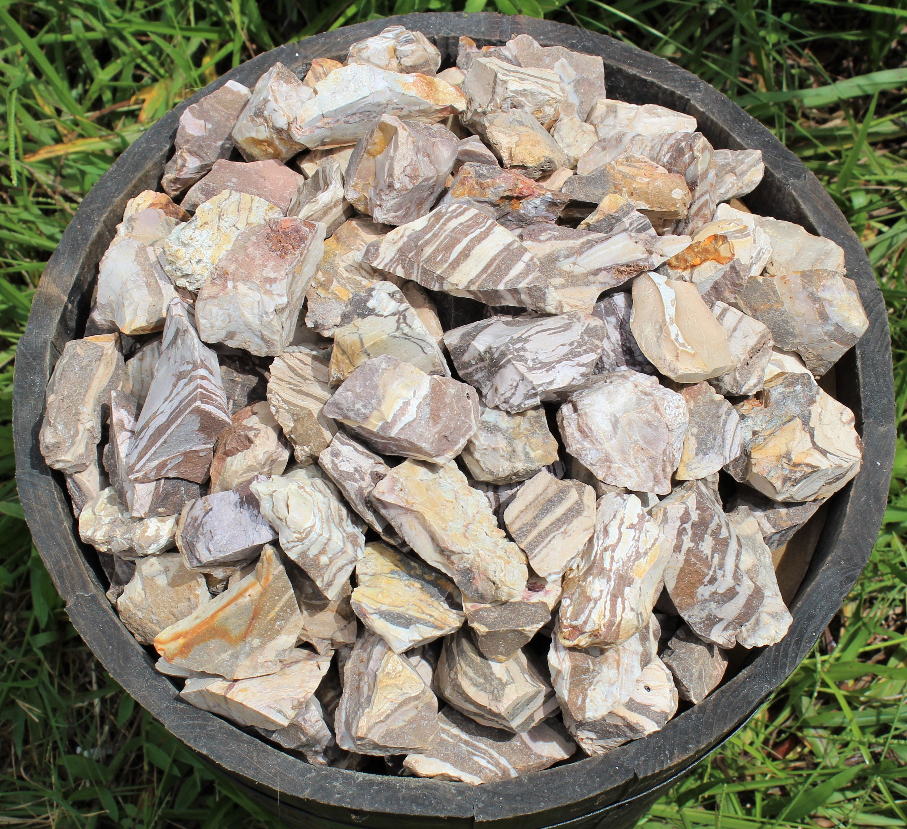 Zebra Jasper Rough Natural Stones Choose Ounces Or Lb Bulk Wholesale