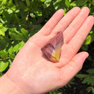 May include: A multi-colored stone with shades of burgundy, yellow, and tan is held in an open hand. The stone has a rough, natural texture and is irregularly shaped. The background is a blurred view of green foliage.