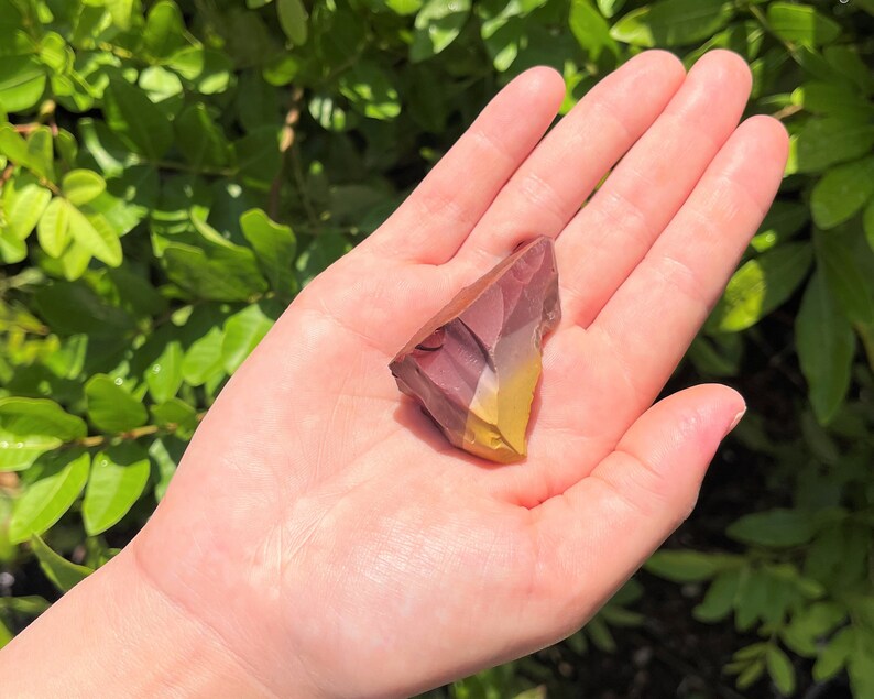 May include: A multi-colored stone with shades of burgundy, yellow, and tan is held in an open hand. The stone has a rough, natural texture and is irregularly shaped. The background is a blurred view of green foliage.