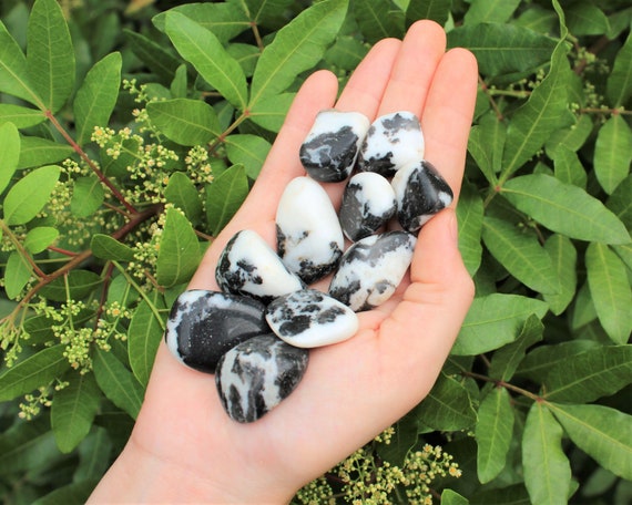 Zebra Marble Agate Tumbled Stones: Choose How Many Pieces (Premium Quality 'A' Grade)