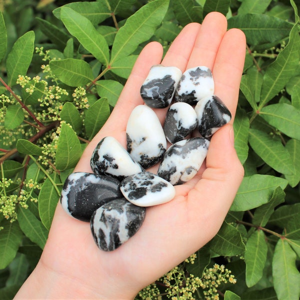 Zebra Marble Agate Tumbled Stones: Choose How Many Pieces (Premium Quality 'A' Grade)