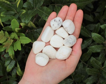 May include: A collection of white tumbled stones, likely selenite, in a hand. The stones are smooth and have a slightly cloudy appearance.