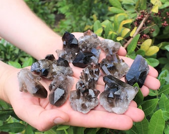 Puede incluir: Una colección de cristales de cuarzo ahumado de diferentes formas y tamaños. Los cristales son de color marrón oscuro y tienen una textura natural y rugosa.